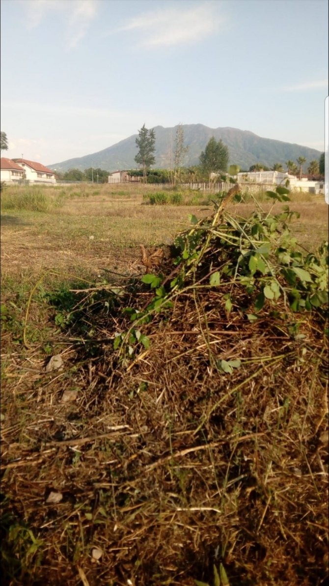 Il nostro impegno al Parco Urbano